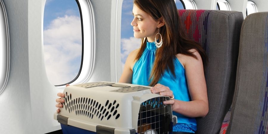 Solo pueden viajar los animales con peso de equipaje de mano en la cabina principal