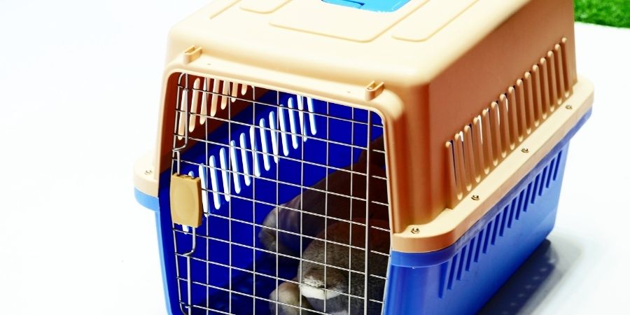 Todas las mascotas deben ser transportadas en jaulas excepto los perros guías y animales terapeuticos
